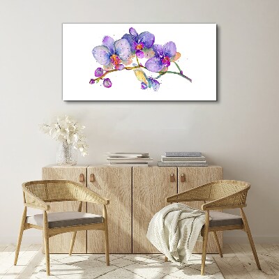Obraz na plátně Květinová krása orchidejí