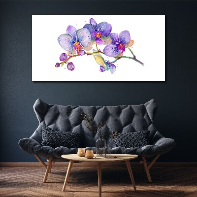 Obraz na plátně Květinová krása orchidejí