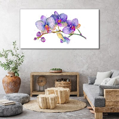 Obraz na plátně Květinová krása orchidejí