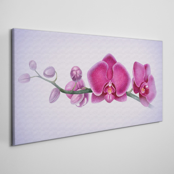 Obraz na plátně Orchideje v jemných odstínech růžové