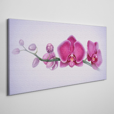 Obraz na plátně Orchideje v jemných odstínech růžové