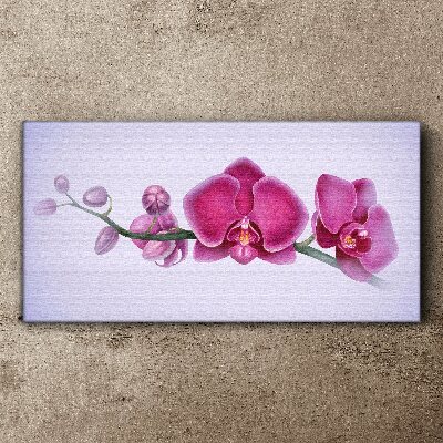 Obraz na plátně Orchideje v jemných odstínech růžové