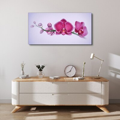 Obraz na plátně Akvarel květina větev orchidej