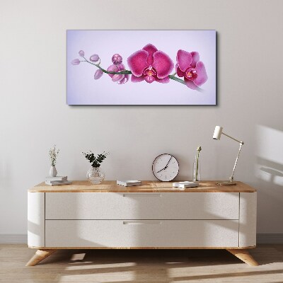 Obraz na plátně Orchideje v jemných odstínech růžové