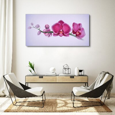 Obraz na plátně Orchideje v jemných odstínech růžové