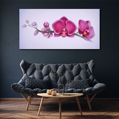 Obraz na plátně Orchideje v jemných odstínech růžové