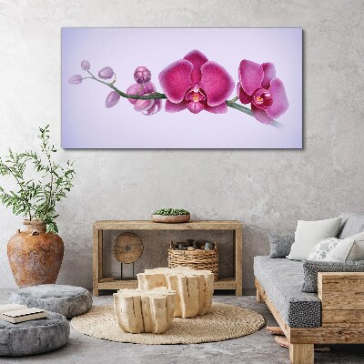Obraz na plátně Akvarel květina větev orchidej