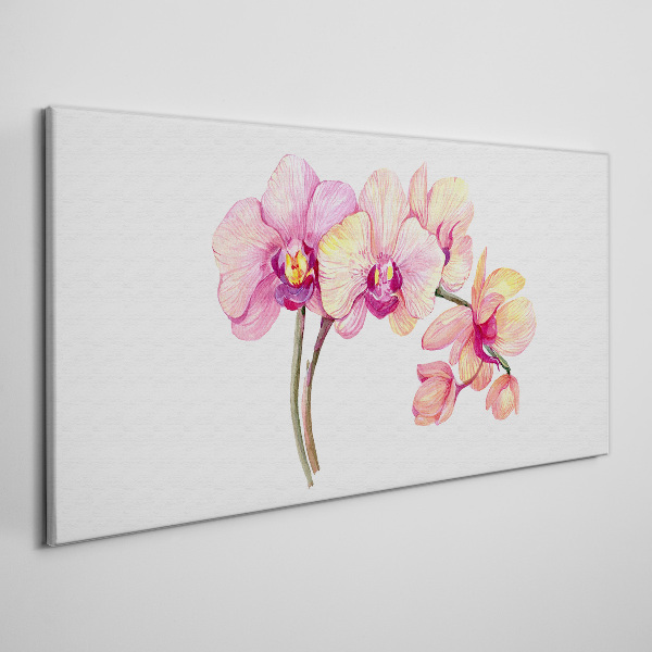 Obraz na plátně Květinová krása orchidejí