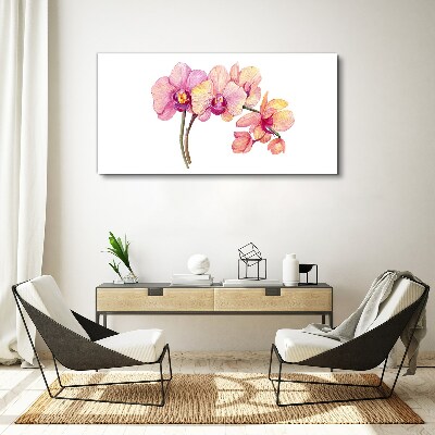 Obraz na plátně Květinová krása orchidejí