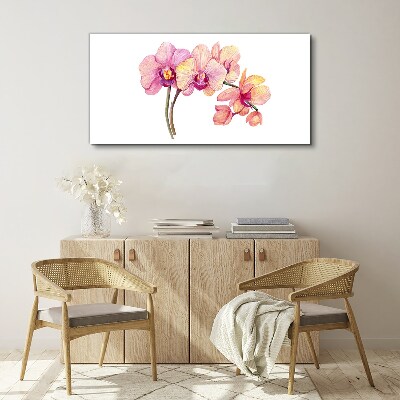 Obraz na plátně Květinová krása orchidejí