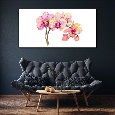 Obraz na plátně Květinová krása orchidejí