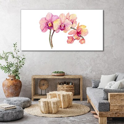 Obraz na plátně Květinová krása orchidejí