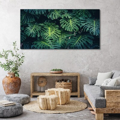 Obraz na plátně Tropická zelená v listech Monstera