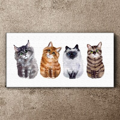 Obraz na plátně Malování zvířat kočky