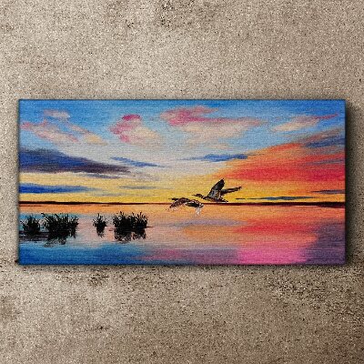 Obraz na plátně Lake Birds Sunset
