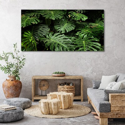 Obraz na plátně Tropické Monstera Listy