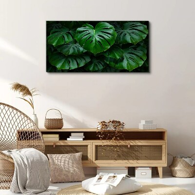 Obraz na plátně Zelená symfonie listů Monstera