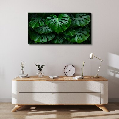 Obraz na plátně Zelená symfonie listů Monstera