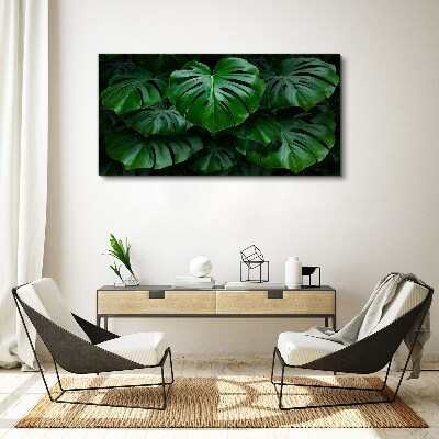 Obraz na plátně Zelená symfonie listů Monstera