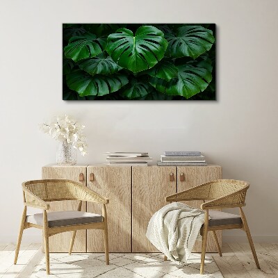 Obraz na plátně Zelená symfonie listů Monstera