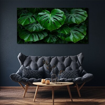 Obraz na plátně Moderní listy rostlin