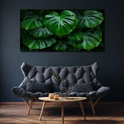 Obraz na plátně Zelená symfonie listů Monstera