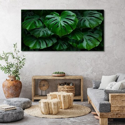 Obraz na plátně Moderní listy rostlin
