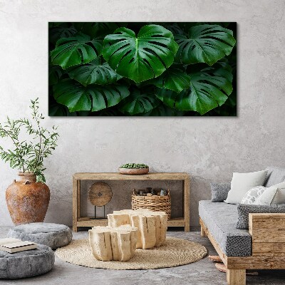 Obraz na plátně Zelená symfonie listů Monstera