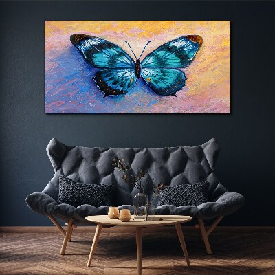 Obraz na plátně Butterfly hmyz barevný