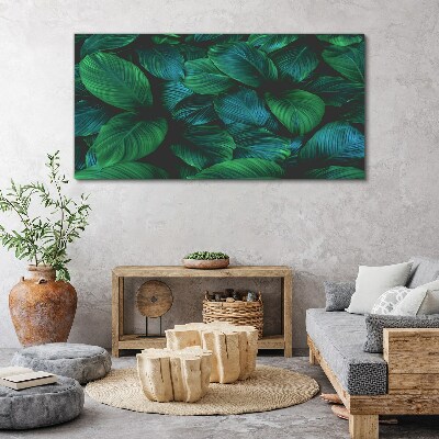 Obraz na plátně Květinové listy rostlin