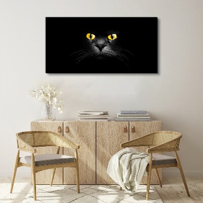 Obraz na plátně Zvířata kočky oči