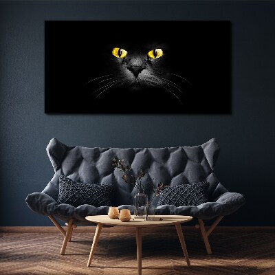 Obraz na plátně Zvířata kočky oči