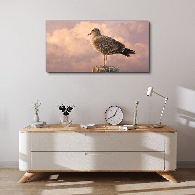 Obraz na plátně Zvířecí pták Seagull Sky