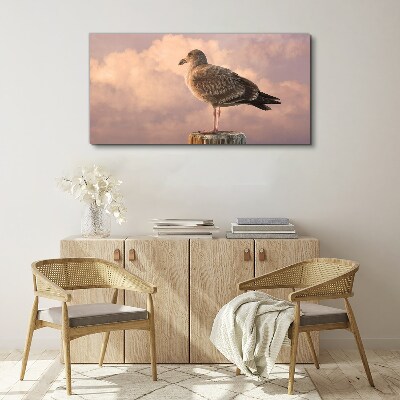 Obraz na plátně Zvířecí pták Seagull Sky
