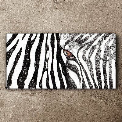 Obraz na plátně Zebra v monochromatickém stylu