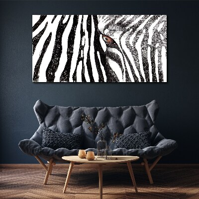Obraz na plátně Zebra v monochromatickém stylu