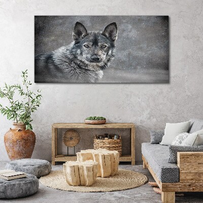 Obraz na plátně Zimní sníh zvířecí vlka pes