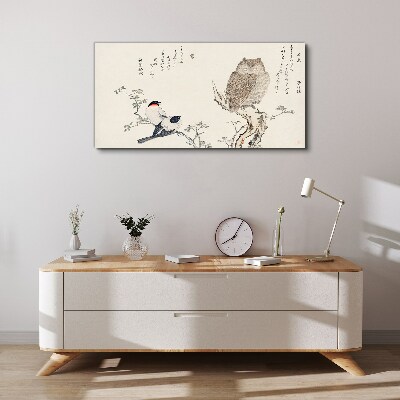 Obraz na plátně Větev zvířata ptáků sova