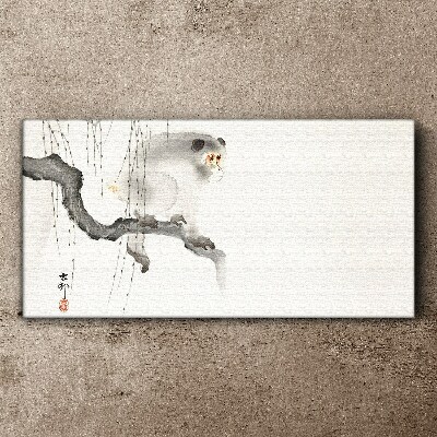 Obraz na plátně Větev zvířat opice Asijské