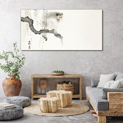 Obraz na plátně Větev zvířat opice Asijské