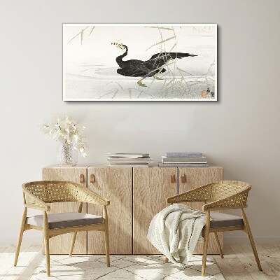 Obraz na plátně Asie Lake Animal Bird
