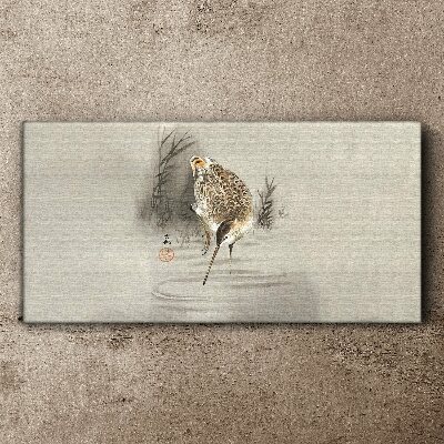 Obraz na plátně Zvířecí pták voda