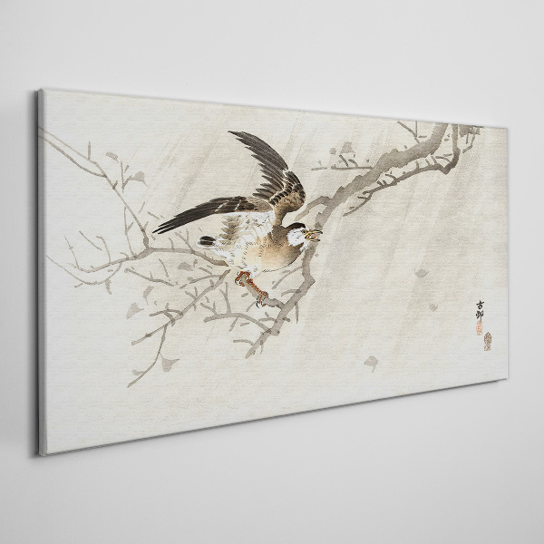 Obraz na plátně Pobočky zvířat ptáků