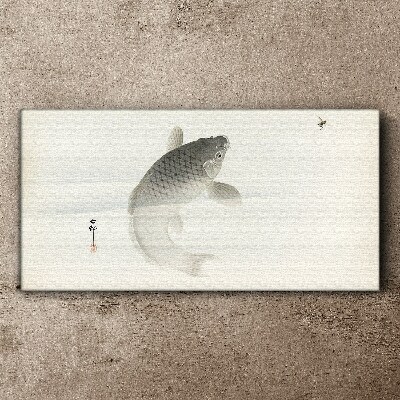 Obraz na plátně Zvířata ryby Koi