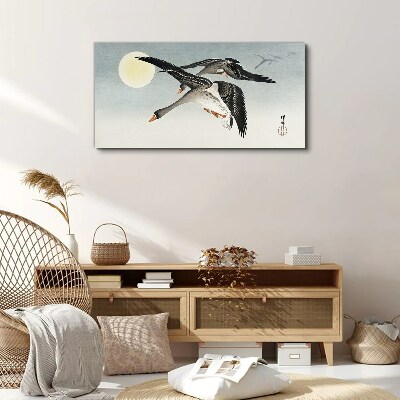 Obraz na plátně Zvířata ptáci Sky Sun