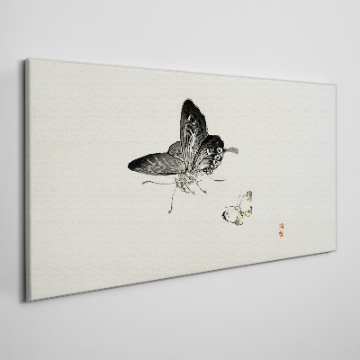 Obraz na plátně Moderní hmyz motýl