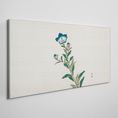 Obraz na plátně Asijské květiny rostliny