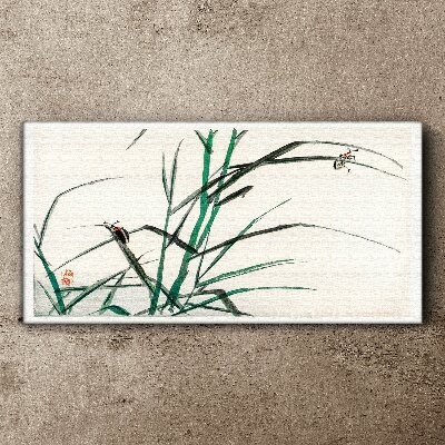Obraz na plátně Asijské hmyz větve