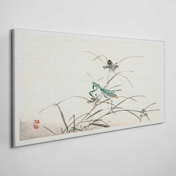 Obraz na plátně Asijské hmyz větve