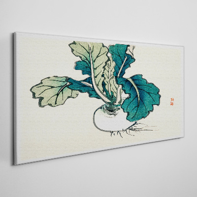 Obraz na plátně Zelenina cibule
